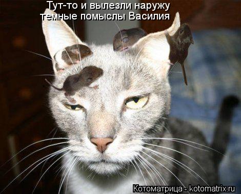Котоматрица: Тут-то и вылезли наружу темные помыслы Василия