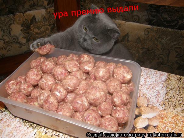 Котоматрица: ура премию выдали