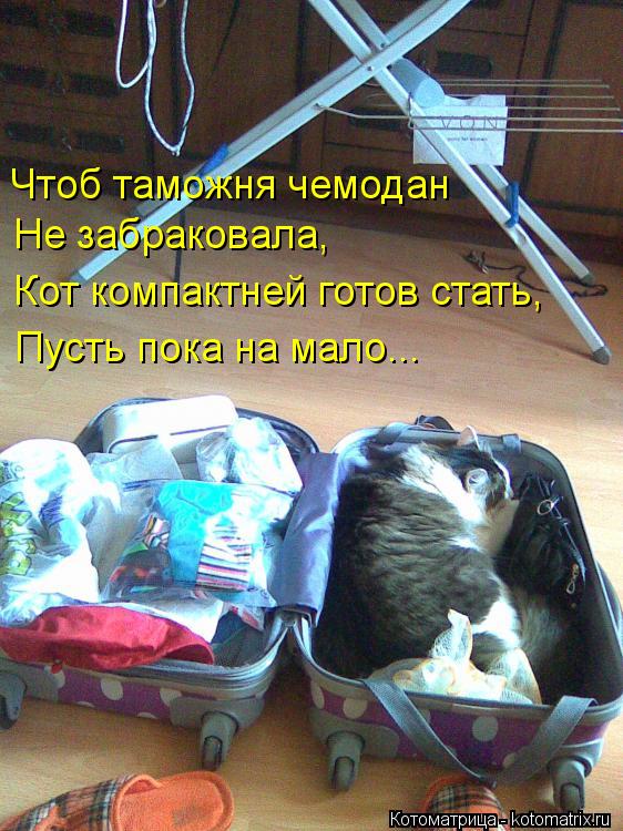 Котоматрица: Чтоб таможня чемодан Не забраковала, Кот компактней готов стать, Пусть пока на мало...