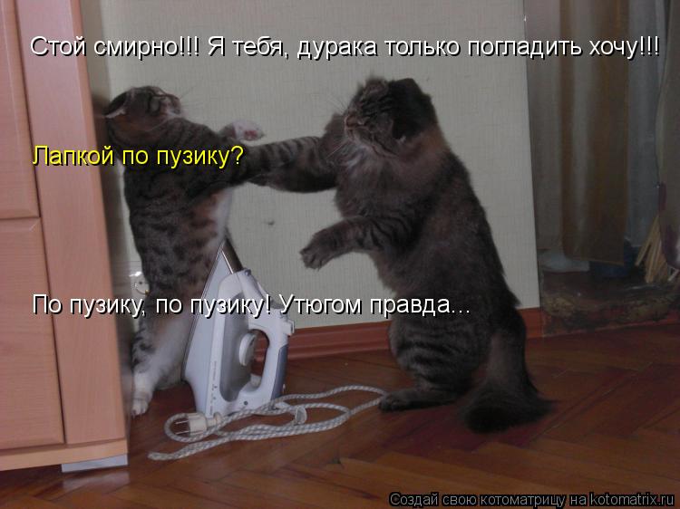 Котоматрица: Стой смирно!!! Я тебя, дурака только погладить хочу!!! Стой смирно!!! Я тебя, дурака только погладить хочу!!! Лапкой по пузику? Лапкой по пузику? 