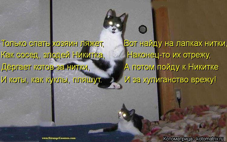 Только спать хозяин ляжет, Вот найду на лапках нитки, Как сосед, злодей Никитка, Након... Котоматрица: Только спать хозяин ляжет, Вот найду на лапках нитки, Как сосед, злодей Никитка, Наконец-то их отрежу, Дёргает котов за нитки,