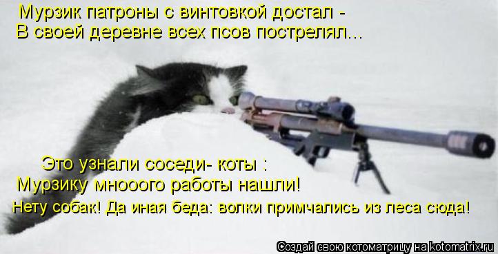 Котоматрица: Мурзик патроны с винтовкой достал - В своей деревне всех псов пострелял... Это узнали соседи- коты : Мурзику мнооого работы нашли! Нету собак! 