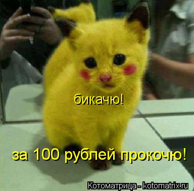 Котоматрица: бикачю! за 100 рублей прокочю!