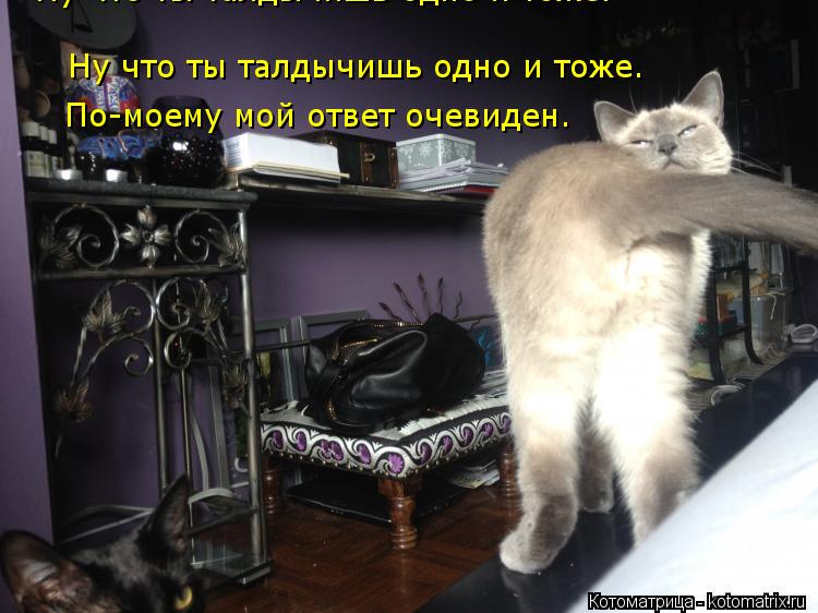 Котоматрица: Ну что ты талдычишь одно и тоже. Ну что ты талдычишь одно и тоже. По-моему мой ответ очевиден.