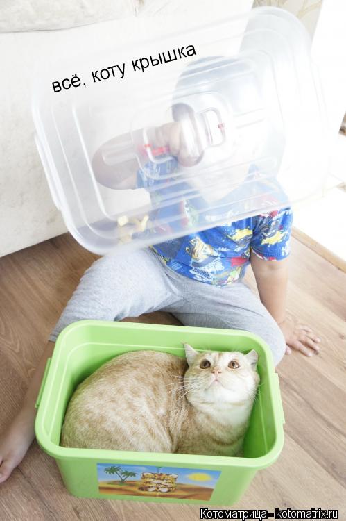 Котоматрица: всё, коту крышка