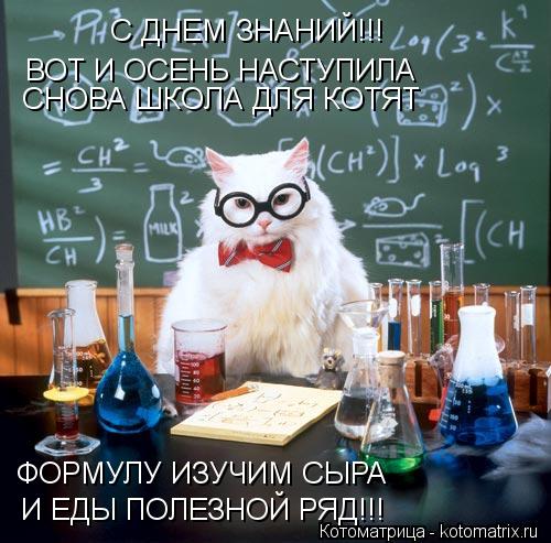 Котоматрица: С ДНЕМ ЗНАНИЙ!!! ВОТ И ОСЕНЬ НАСТУПИЛА СНОВА ШКОЛА ДЛЯ КОТЯТ ФОРМУЛУ ИЗУЧИМ СЫРА И ЕДЫ ПОЛЕЗНОЙ РЯД!!!