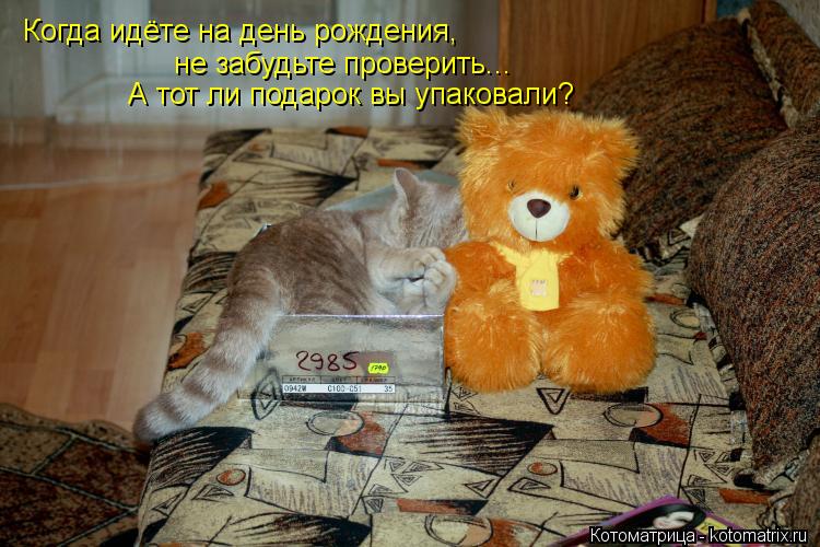 Когда идёте на день рождения, не забудьте проверить... А тот ли подарок вы упаковали?... Котоматрица: Когда идёте на день рождения, не забудьте проверить... А тот ли подарок вы упаковали?