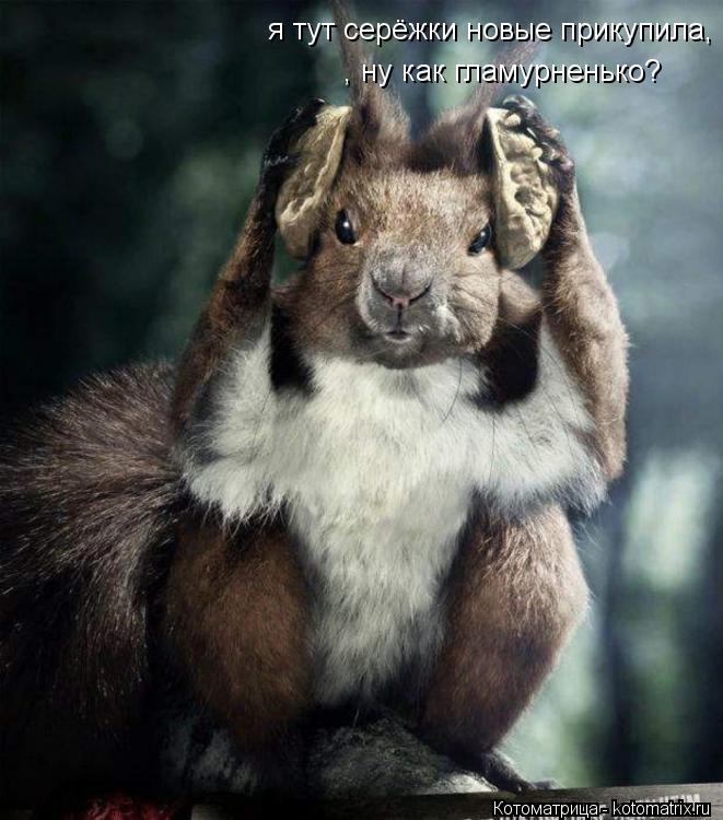 Котоматрица: я тут серёжки новые прикупила, ну как гламурненько? , ну как гламурненько?