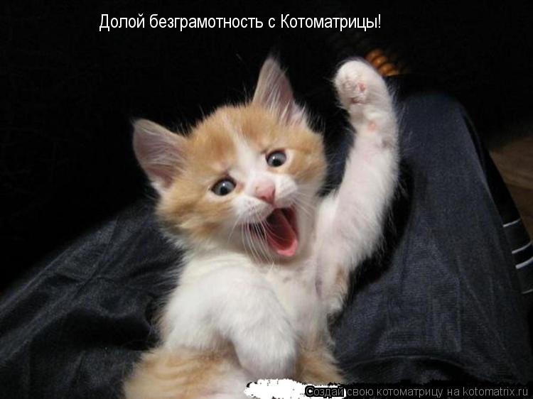 Котоматрица: Долой безграмотность с Котоматрицы!