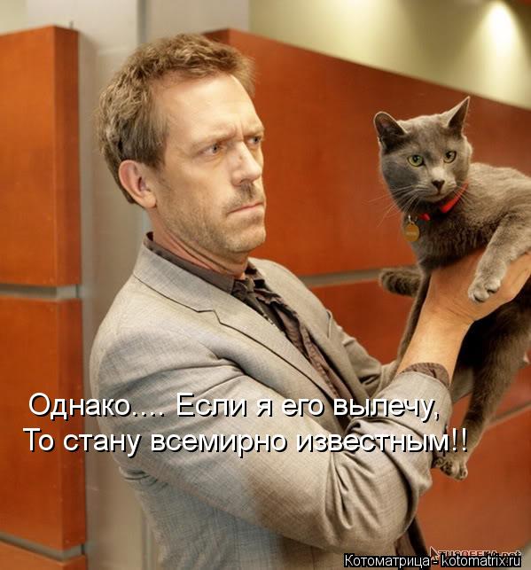 Котоматрица: Однако.... Если я его вылечу, То стану всемирно известным!!