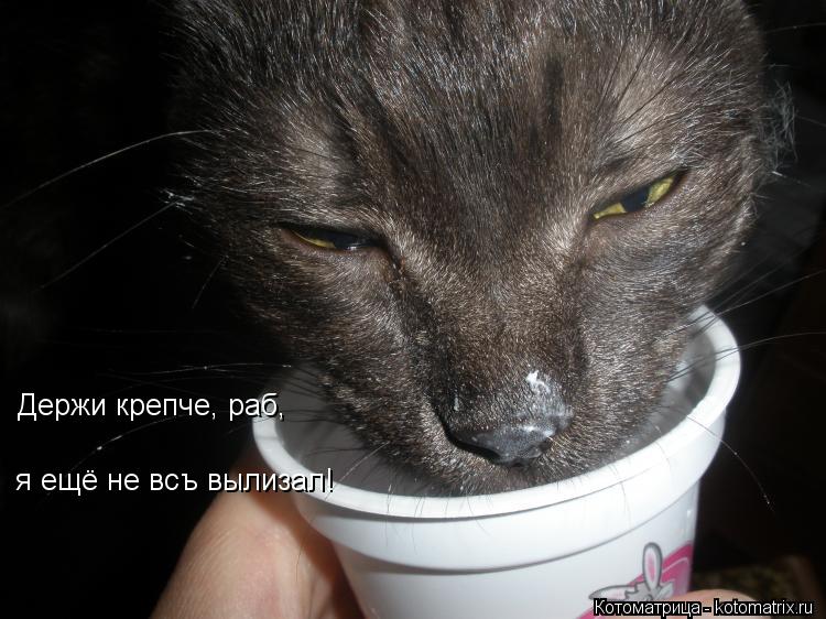 Котоматрица: Держи крепче, раб, я ещё не всъ вылизал!