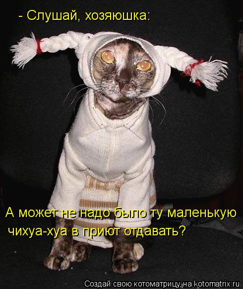 А может не надо было ту маленькую чихуа-хуа в приют отдавать? - Слушай, хозяюшка:... Котоматрица: А может не надо было ту маленькую чихуа-хуа в приют отдавать? - Слушай, хозяюшка: