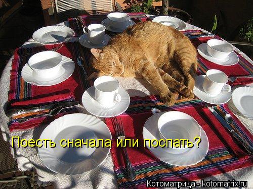 Котоматрица: Поесть сначала или поспать?
