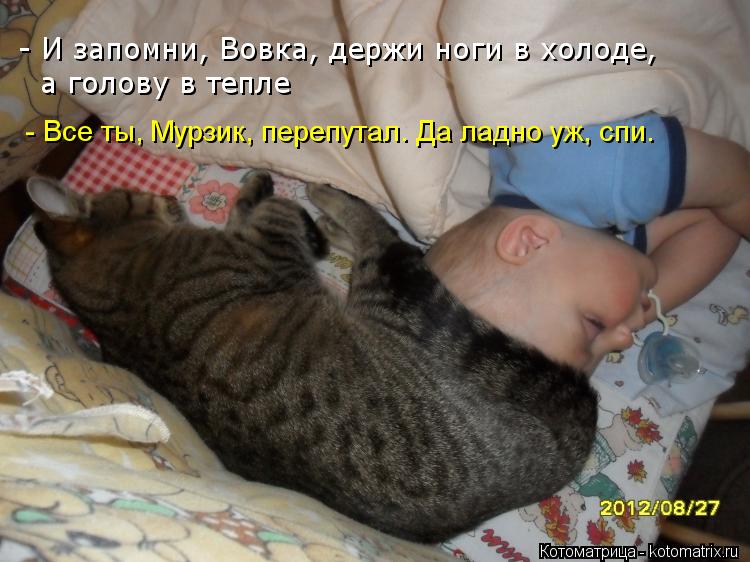 Котоматрица: - И запомни, Вовка, держи ноги в холоде, а голову в тепле - Все ты, Мурзик, перепутал. Да ладно уж, спи.