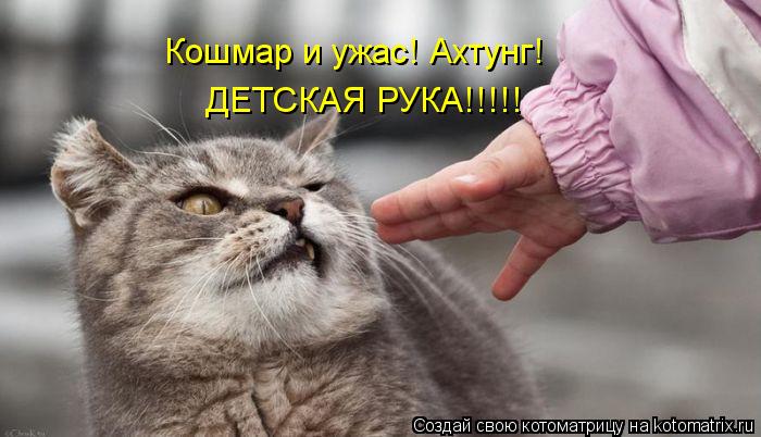 Кошмар и ужас! Ахтунг! ДЕТСКАЯ РУКА!!!!!... Котоматрица: Кошмар и ужас! Ахтунг! ДЕТСКАЯ РУКА!!!!!