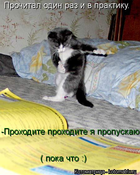 Котоматрица: Прочитал один раз и в практику. -Проходите проходите я пропускаю ( пока что :)