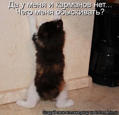 Котоматрица: Да у меня и карманов нет... Чего меня обыскивать?