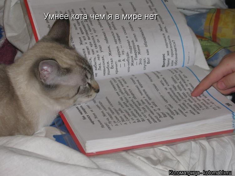 Котоматрица: Умнее кота чем я в мире нет