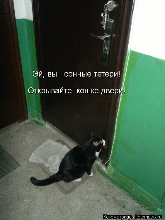 Котоматрица: Эй, вы,  сонные тетери! Эй, вы,  сонные тетери! Открывайте  кошке двери! Открывайте  кошке двери!