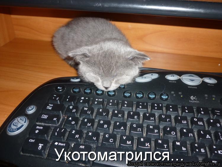 Укотоматрился...... Котоматрица: Укотоматрился...