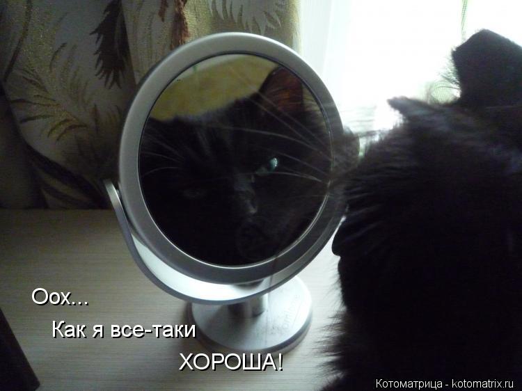 Оох... Как я все-таки ХОРОША!... Котоматрица: Оох... Как я все-таки ХОРОША!