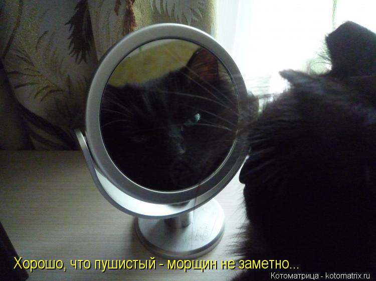 Хорошо, что пушистый - морщин не заметно...... Котоматрица: Хорошо, что пушистый - морщин не заметно...