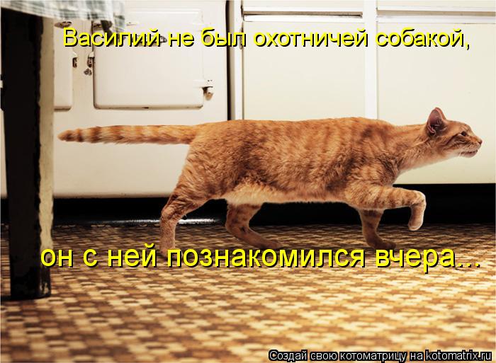 Котоматрица: Василий не был охотничей собакой, он с ней познакомился вчера...