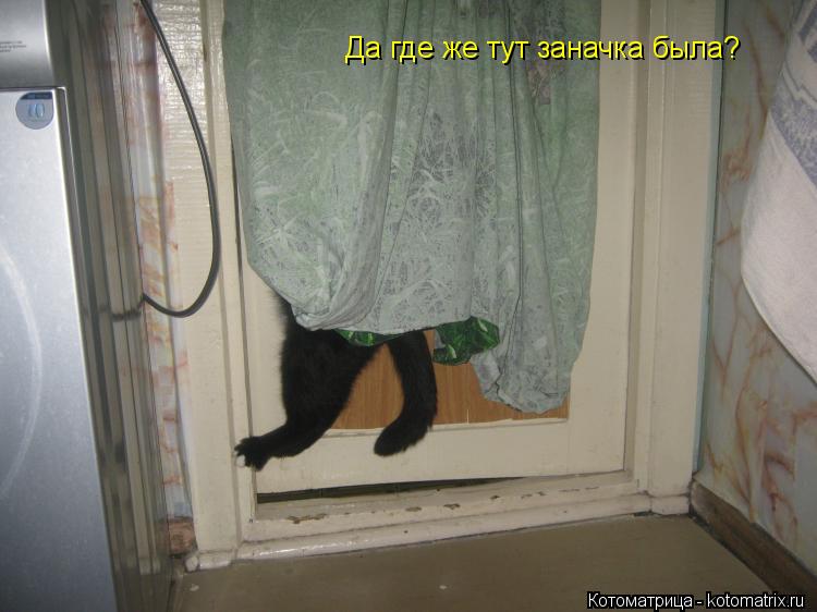 Котоматрица: Да где же тут заначка была?