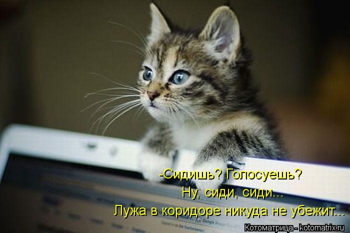 -Сидишь? Голосуешь? Ну, сиди, сиди... Лужа в коридоре никуда не убежит...... Котоматрица: -Сидишь? Голосуешь? Ну, сиди, сиди... Лужа в коридоре никуда не убежит...