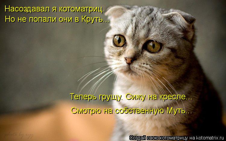 Котоматрица: Насоздавал я котоматриц. Но не попали они в Круть... Теперь грущу. Сижу на кресле... Смотрю на собственную Муть...