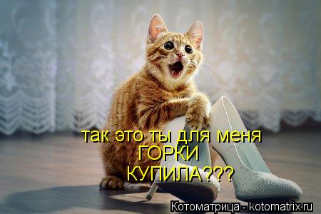 так это ты для меня ГОРКИ КУПИЛА???... Котоматрица: так это ты для меня ГОРКИ КУПИЛА???