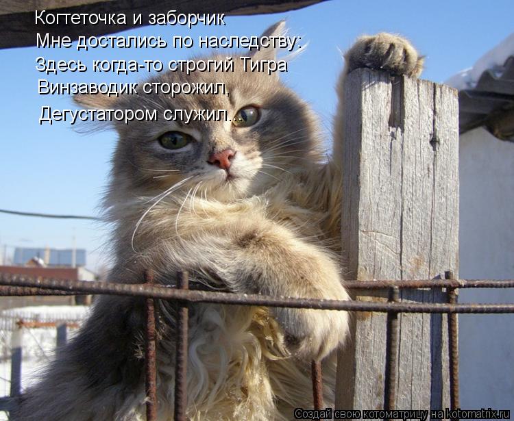 Когтеточка и заборчик Мне достались по наследству: Здесь когда-то строгий Тигра Винзаводик сторожил, ... Котоматрица: Когтеточка и заборчик Мне достались по наследству: Здесь когда-то строгий Тигра Винзаводик сторожил, Дегустатором служил...