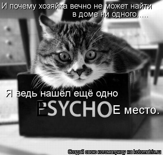 в доме ни одного..... Я ведь нашёл ещё одно Е Е место. И почему хозяйка вечно не может найти... Котоматрица: в доме ни одного..... Я ведь нашёл ещё одно Е Е место. И почему хозяйка вечно не может найти