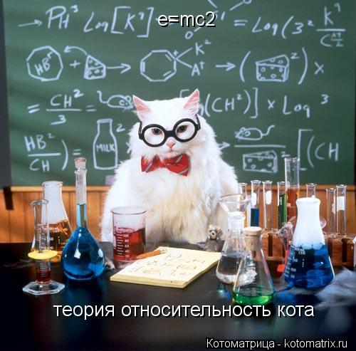 Котоматрица: e=mc2 теория относительность кота