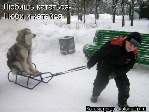 Любишь кататься- Люби и катайся... Котоматрица: Любишь кататься- Люби и катайся