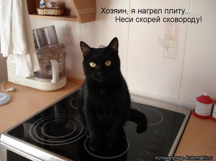 Котоматрица: Хозяин, я нагрел плиту... Неси скорей сковороду!