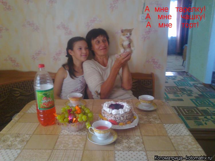 А мне тарелку! А мне чашку! А мне торт!... Котоматрица: А мне тарелку! А мне чашку! А мне торт!
