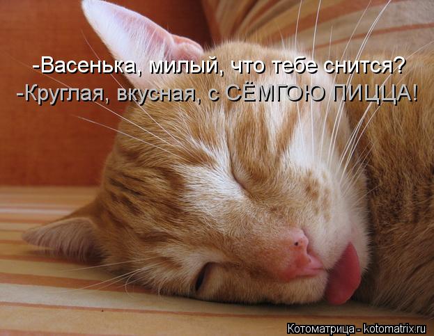 Котоматрица: -Васенька, милый, что тебе снится? -Круглая, вкусная, с СЁМГОЮ ПИЦЦА!