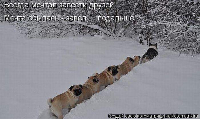 Всегда мечтал завести друзей. Мечта сбылась - завел.....подальше.... Котоматрица: Всегда мечтал завести друзей. Мечта сбылась - завел.....подальше.