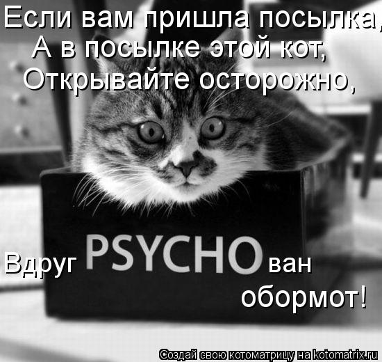 Котоматрица: Если вам пришла посылка, А в посылке этой кот, Открывайте осторожно, Вдруг                         ван обормот!