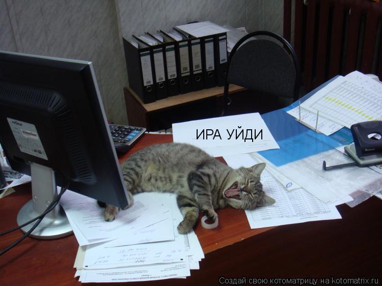 Котоматрица: ИРА УЙДИ