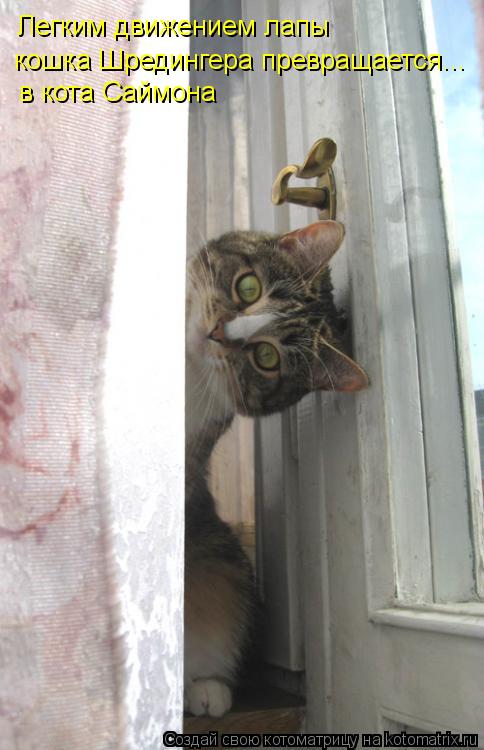 Легким движением лапы кошка Шредингера превращается... в кота Саймона... Котоматрица: Легким движением лапы кошка Шредингера превращается... в кота Саймона