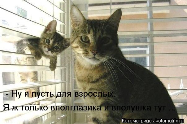 - Ну и пусть для взрослых. Я ж только вполглазика и вполушка тут ...... Котоматрица: - Ну и пусть для взрослых. Я ж только вполглазика и вполушка тут ...