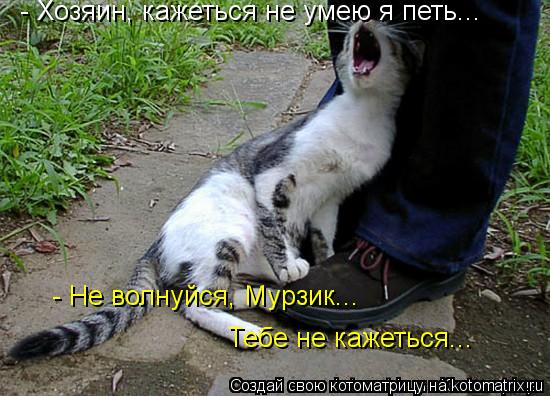 Котоматрица: - Хозяин, кажеться не умею я петь... - Не волнуйся, Мурзик... Тебе не кажеться...