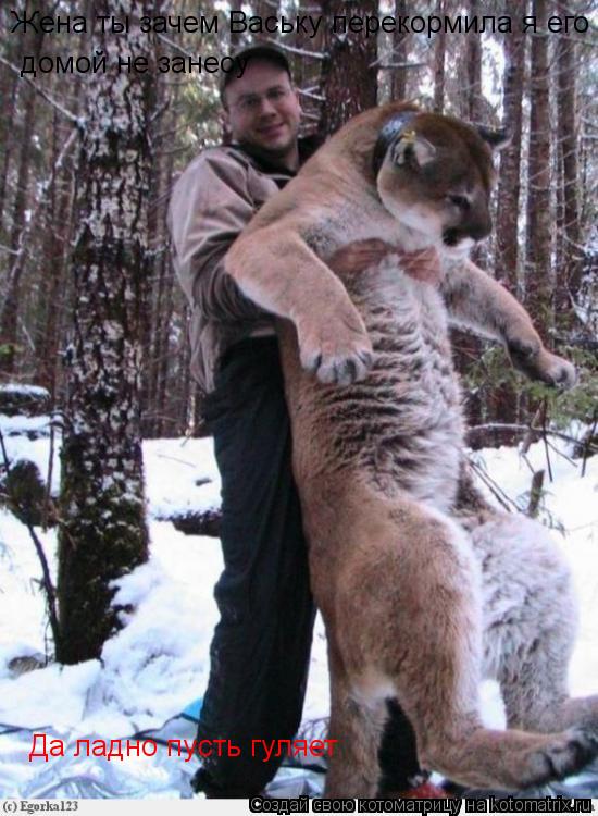 Жена ты зачем Ваську перекормила я его домой не занесу домой не занесу Да ладно пусть гуляет... Котоматрица: Жена ты зачем Ваську перекормила я его домой не занесу домой не занесу Да ладно пусть гуляет