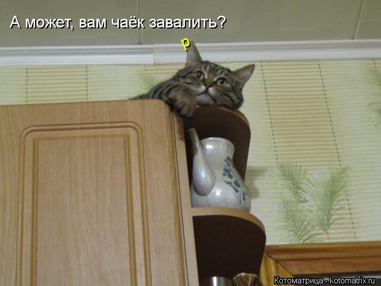 А может, вам чаёк завалить? р... Котоматрица: А может, вам чаёк завалить? р