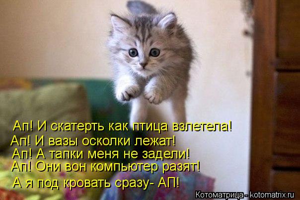 Котоматрица: Ап! И скатерть как птица взлетела! Ап! И вазы осколки лежат! Ап! А тапки меня не задели! Ап! Они вон компьютер разят! А я под кровать сразу- АП!