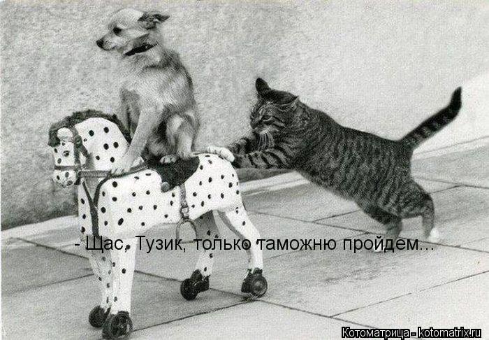 Котоматрица: - Щас, Тузик, только таможню пройдем...