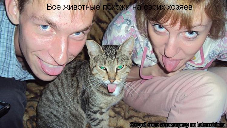 Все животные похожи на своих хозяев... Котоматрица: Все животные похожи на своих хозяев
