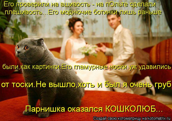 Котоматрица: Его проверили на вшивость - на пОльте сделали плешивость...Его моднючие ботинки лишь раньше  были,как картинки.Его гламурные носки уж удавил